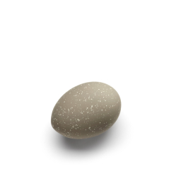 Dekorativní vajíčka Cooee Sand - set 2 ks