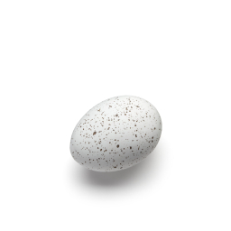Dekorativní vajíčka Cooee White - set 2 ks