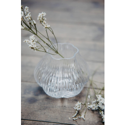 Skleněná váza Flora Angshult Clear 13 cm