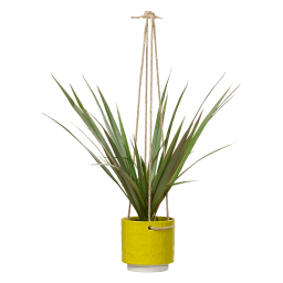 Závěsný květník Dandelion