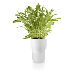 Samozavlažovací květináč na bylinky bílý