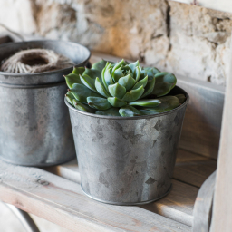 Malý plechový květináč Herb Pot