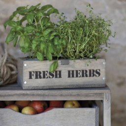 Dřevěná bedýnka s květináči Fresh Herbs