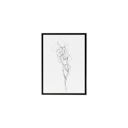Ilustrace v černém rámu Pen 2