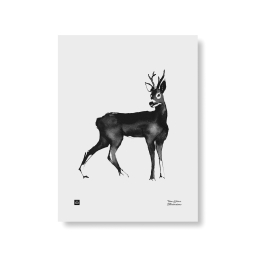 Plakát Deer velký 50x70 cm