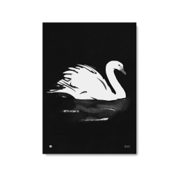 Plakát Swan velký 50x70 cm