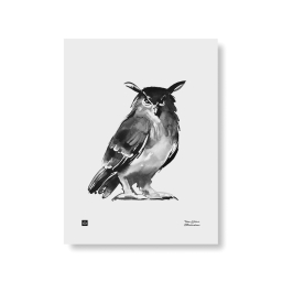 Plakát Owl velký 50x70 cm