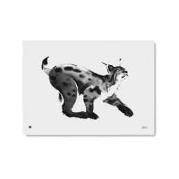 Plakát Lynx velký 50x70 cm