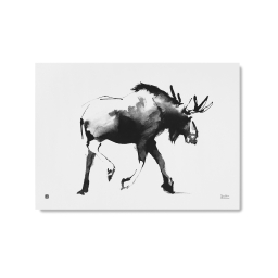 Plakát Elk velký 50x70 cm