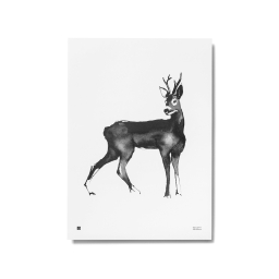 Plakát Deer 30x40 cm