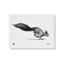 Plakát Squirrel 30x40 cm