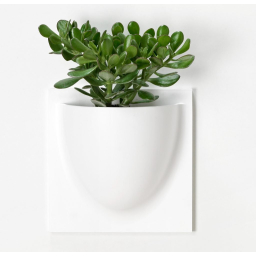 Nástěnný květináč VertiPlants BIO White 30 cm