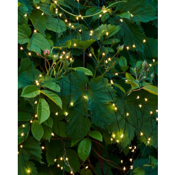 Svítící řetěz Fairy Light 200 LED Green 