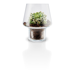 Skleněná váza na sukulenty Succulent Vase 15 cm 