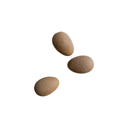 Dekorativní vajíčka Deco Egg Sand - set 3 ks
