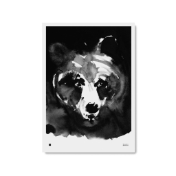 Plakát Mysterious Bear velký 50x70 cm