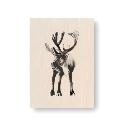 Obrázek na dřevěné kartě Reindeer 10x15 cm