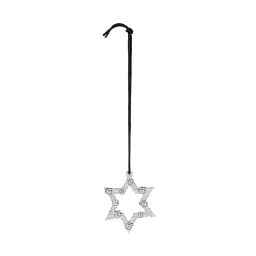 Vánoční ozdoba Flower Star Silver 7,5 cm