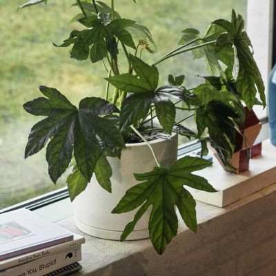                            Květináč Plantpot s podmiskou White L                        