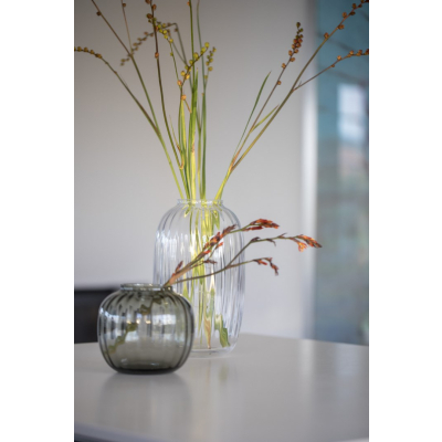                             Skleněná váza Primula Clear 25,5 cm                        