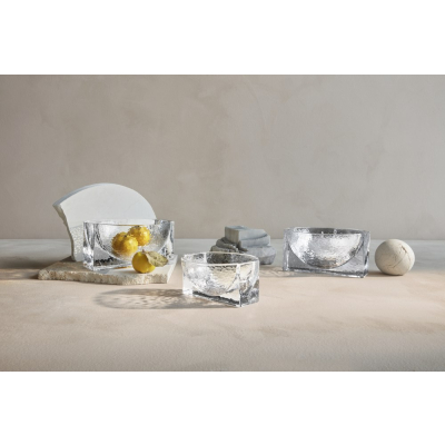                             Skleněná mísa Forma Bowl Clear 21 cm                        