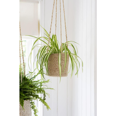                             Závěsný květináč Woven Seagrass                         