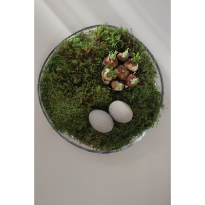                             Dekorativní vajíčka Cooee Sand - set 2 ks                        