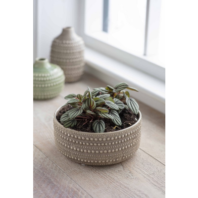Obal na květináč Castelo Bowl Stone 20 cm                    