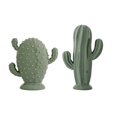 Dekorativní kaktus                    