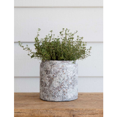                             Keramický květináč Withington Rustic Grey 15,5 cm                        