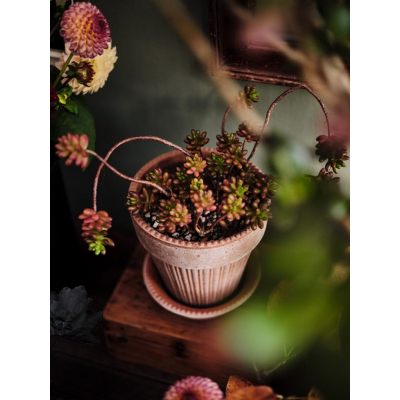                             Květináč Simona s podmiskou Raw Rosa 16 cm                        