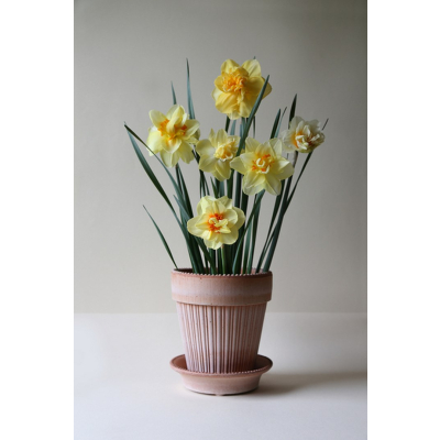                             Květináč Simona s podmiskou Raw Rosa 18 cm                        