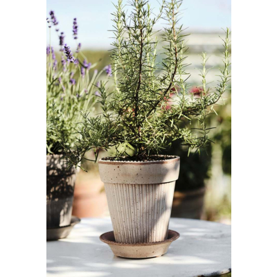                             Květináč Simona s podmiskou Raw Rosa 18 cm                        