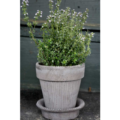                             Květináč Simona s podmiskou Raw Grey 18 cm                        