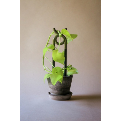                             Opora pro rostliny Oni Moss Green                        