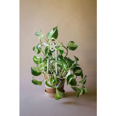                             Opora pro rostliny Yuma Pebble White                        