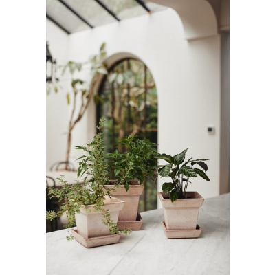                             Květináč s podmiskou Gaia Square Rosa 21 cm                        