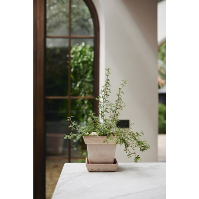                             Květináč s podmiskou Gaia Square Rosa 21 cm                        