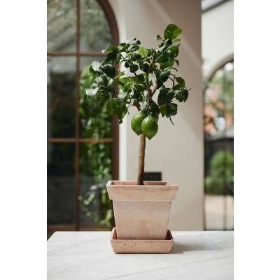                             Květináč s podmiskou Gaia Square Rosa 25 cm                        