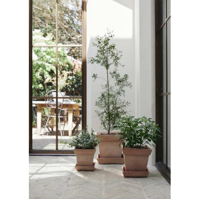                             Květináč s podmiskou Gaia Square Rosa 30 cm                        