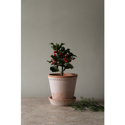                             Květináč Helena s podmiskou Raw Rosa 30 cm                        