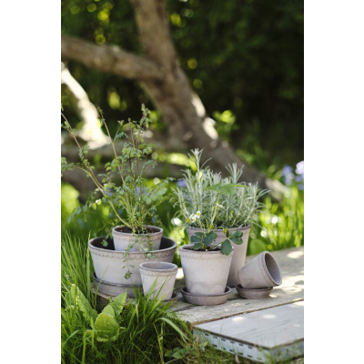                             Květináč Helena s podmiskou Raw Grey 18 cm                        