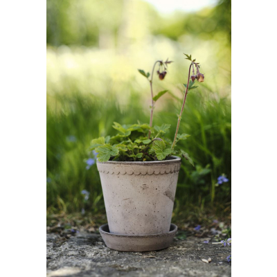                             Květináč Helena s podmiskou Raw Grey 18 cm                        
