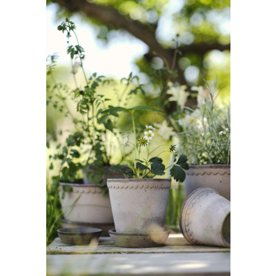                             Květináč Helena s podmiskou Raw Grey 18 cm                        