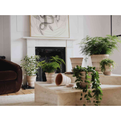                             Květináč Pantheon s podmiskou Raw Rosa 16 cm                        