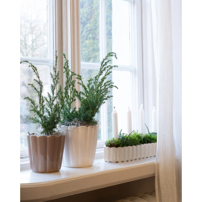                             Adventní svícen Edna White Stripes 37 cm                        