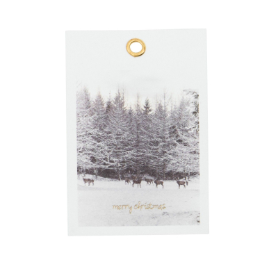                             Jmenovky na dárky White Winter - 12 ks                        