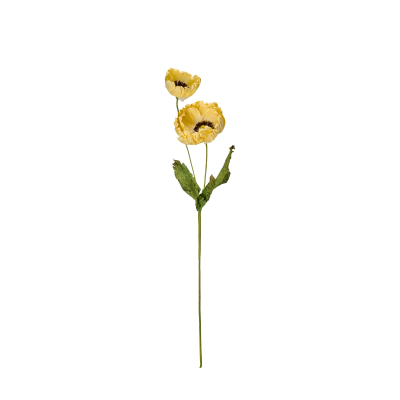 Vlčí mák Poppy Yellow                    