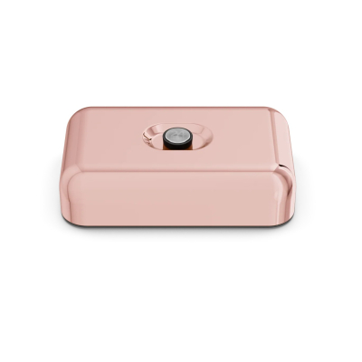                             Nerezový obědový box Rose Gold 1,3 l                         