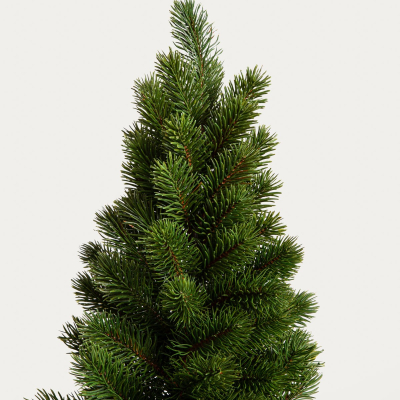                            Vánoční stromeček v jutě Oppla 55 cm                        